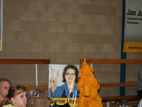 N-VA 2014