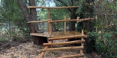 Speelbos1